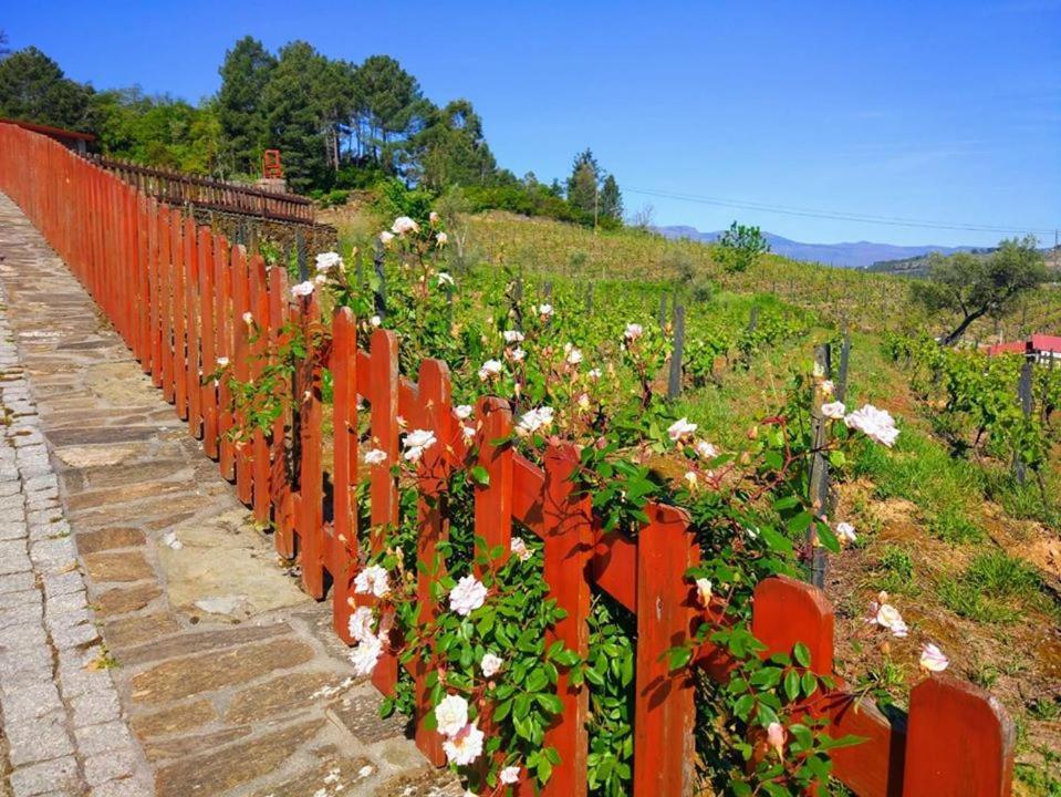 Casa Do Poco - Douro Hotell Peso da Régua Eksteriør bilde