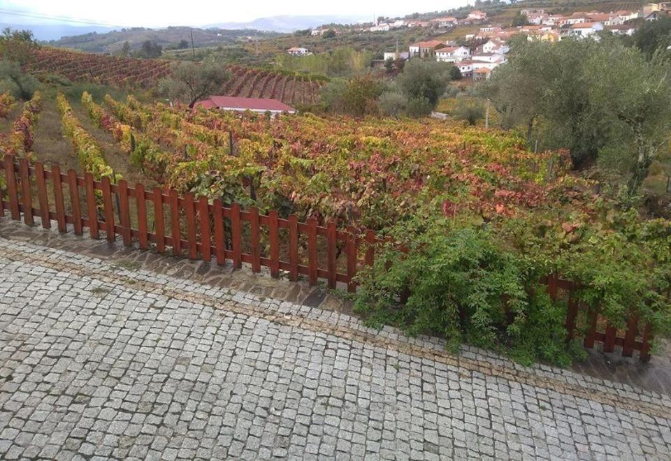 Casa Do Poco - Douro Hotell Peso da Régua Eksteriør bilde